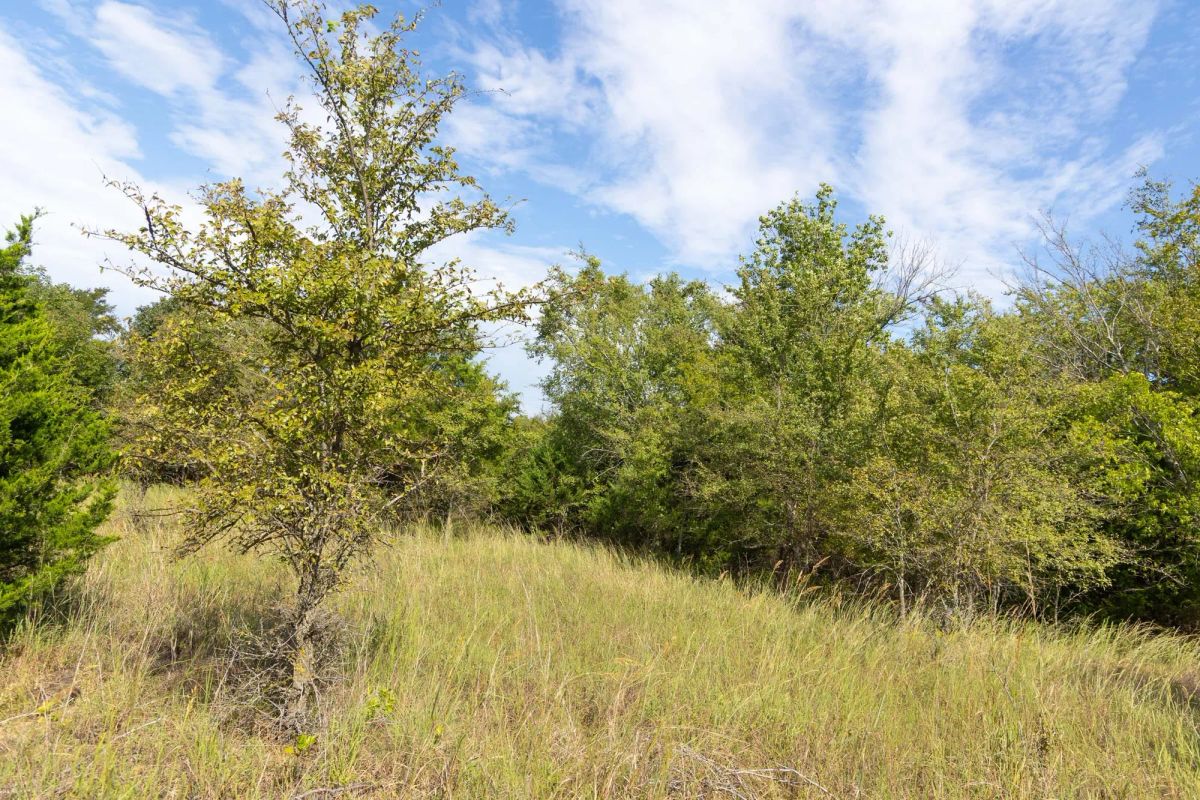 Decorative background for Reserves At Cattail Cove Phase II Tract 84 image 11