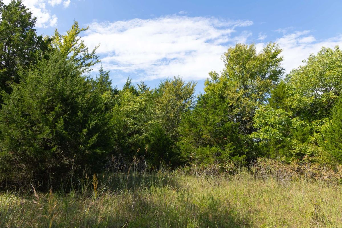 Decorative background for Reserves At Cattail Cove Phase II Tract 84 image 12