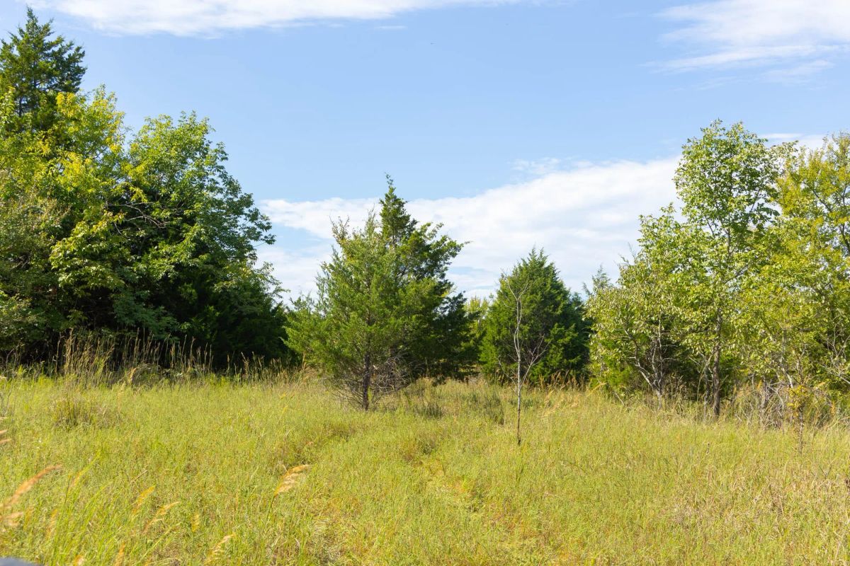 Decorative background for Reserves At Cattail Cove Phase II Tract 84 image 13