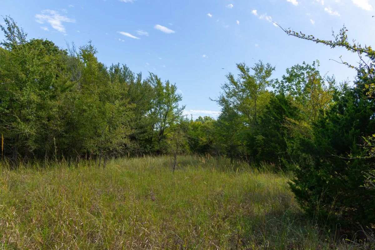 Decorative background for Reserves At Cattail Cove Phase II Tract 84 image 14