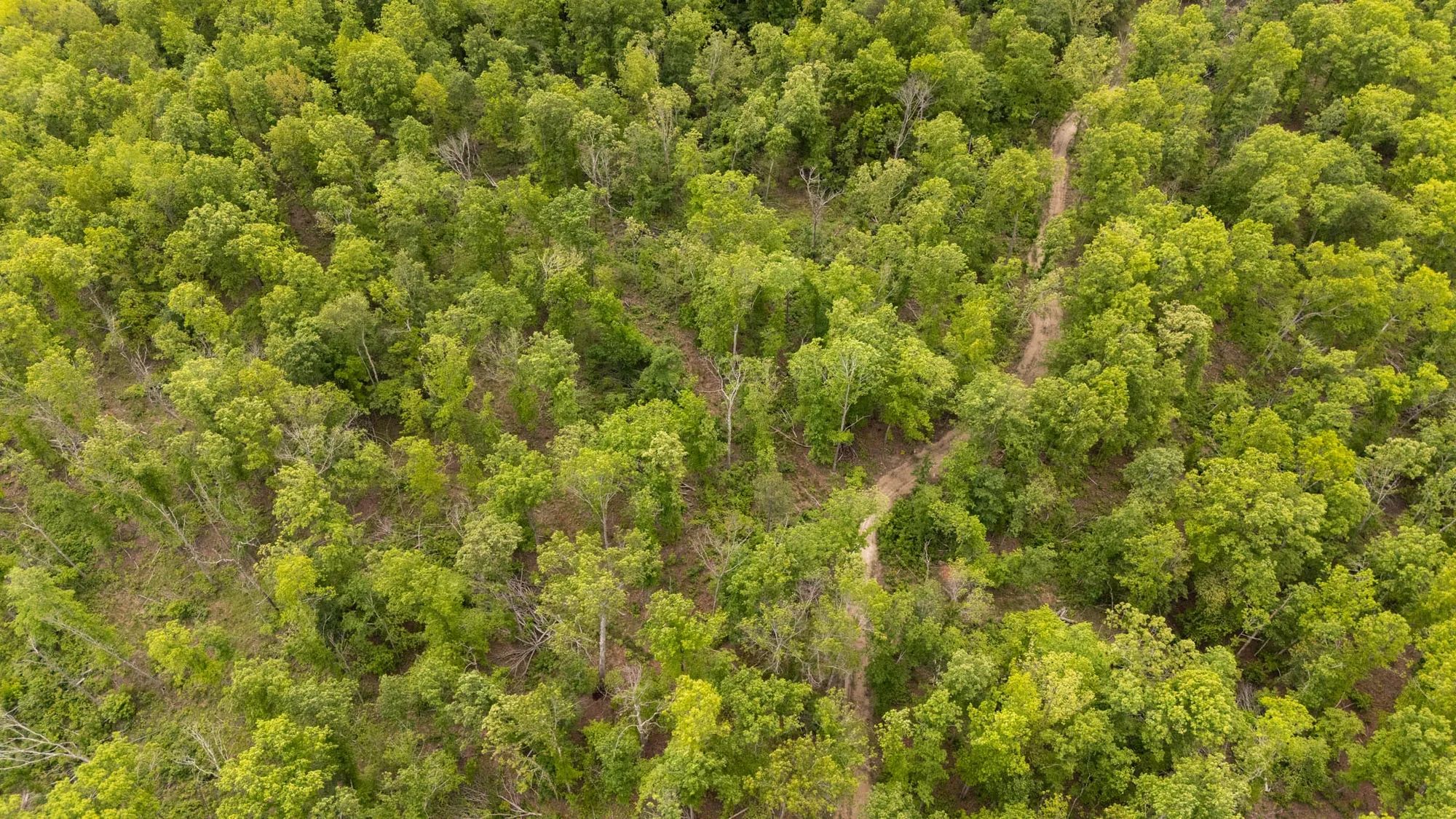 Stardust Estates Tract 32 in Reynolds County, MO