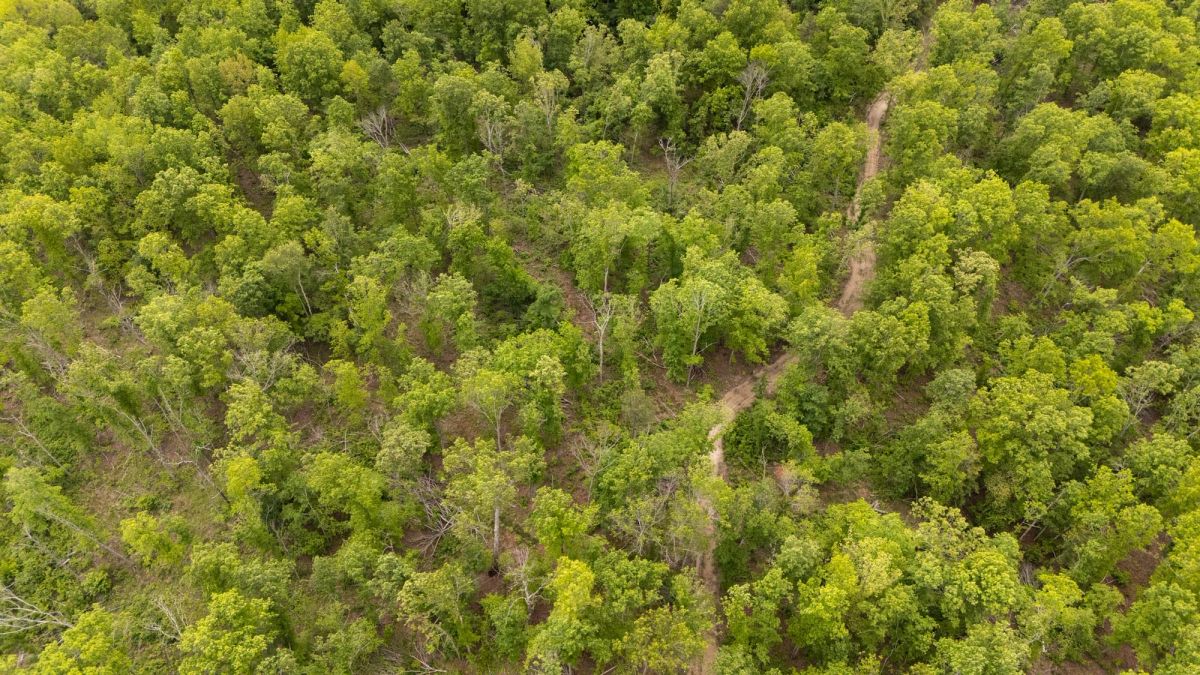 Stardust Estates Tract 32 - Image 2