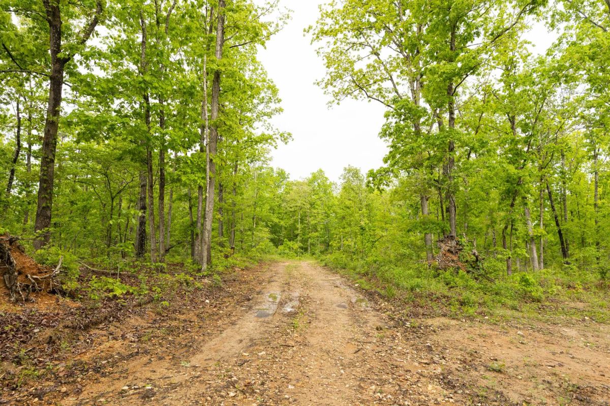 Stardust Estates Tract 32 - Image 3
