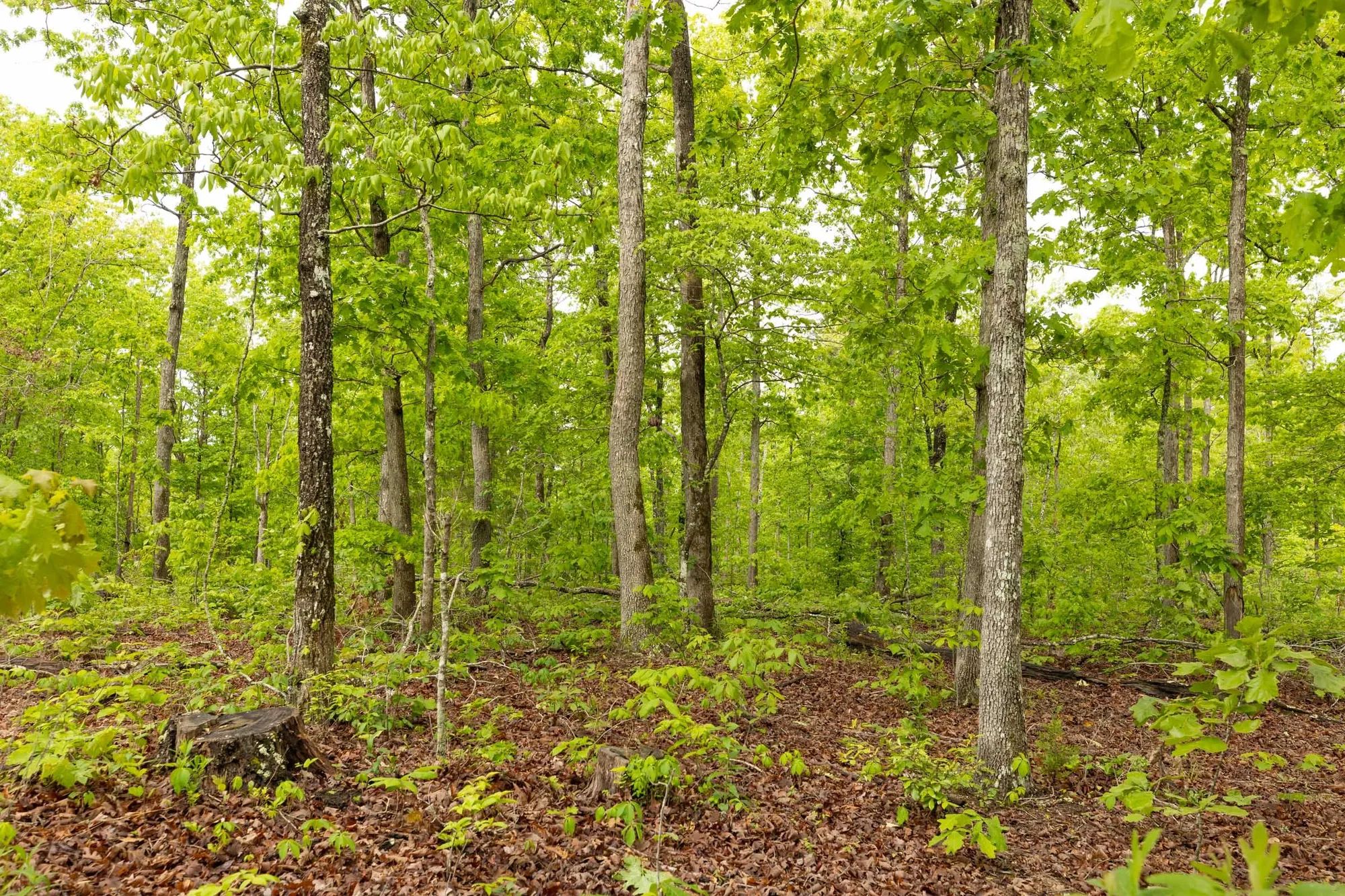 Stardust Estates Tract 32 in Reynolds County, MO