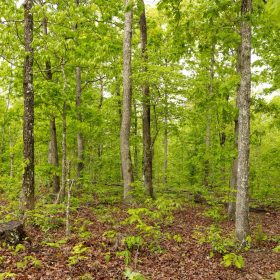 Stardust Estates Tract 32 in Reynolds County, MO