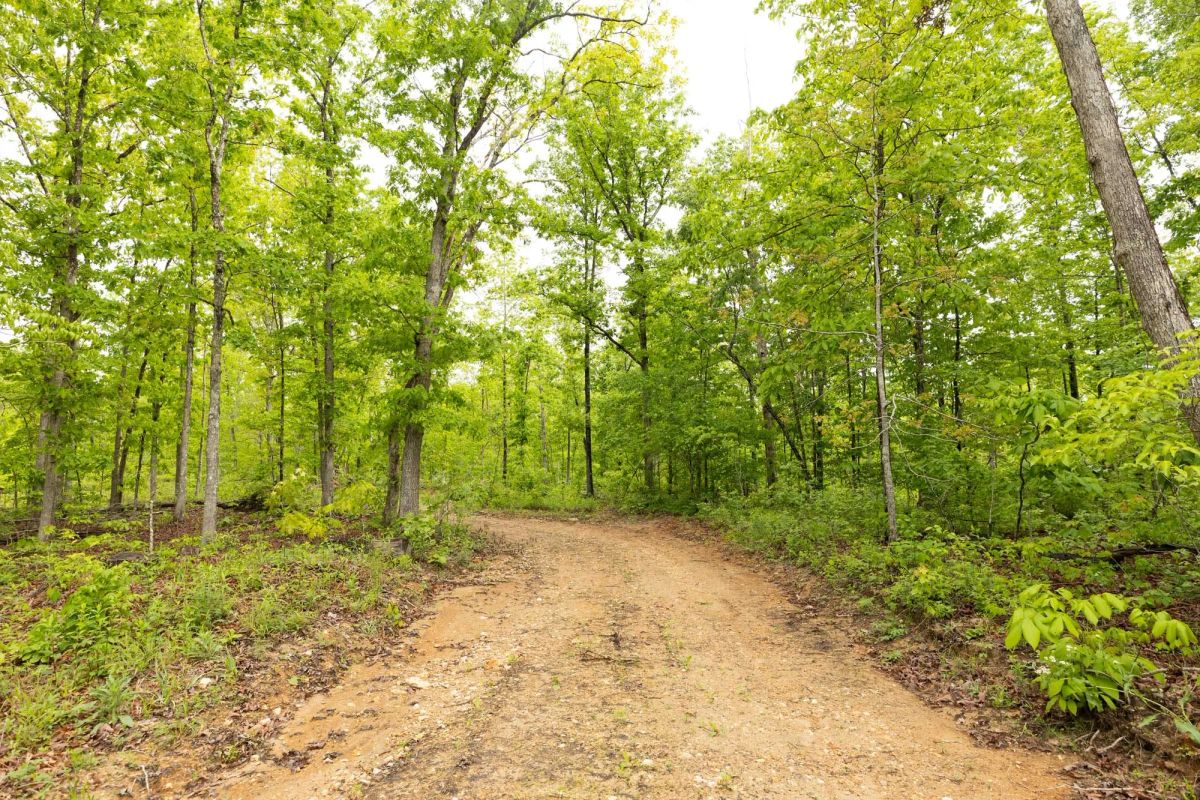 Decorative background for Stardust Estates Tract 32 image 8