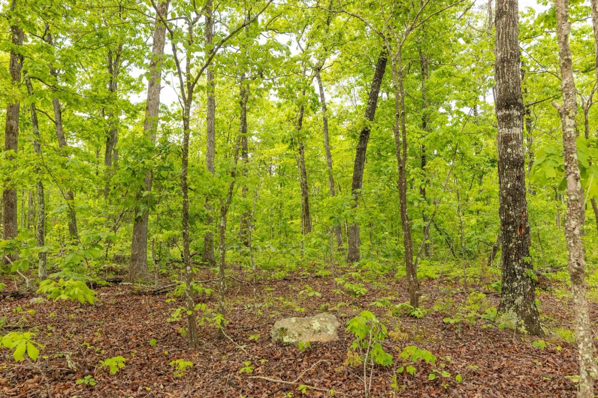 Decorative background for Stardust Estates Tract 32 image 9