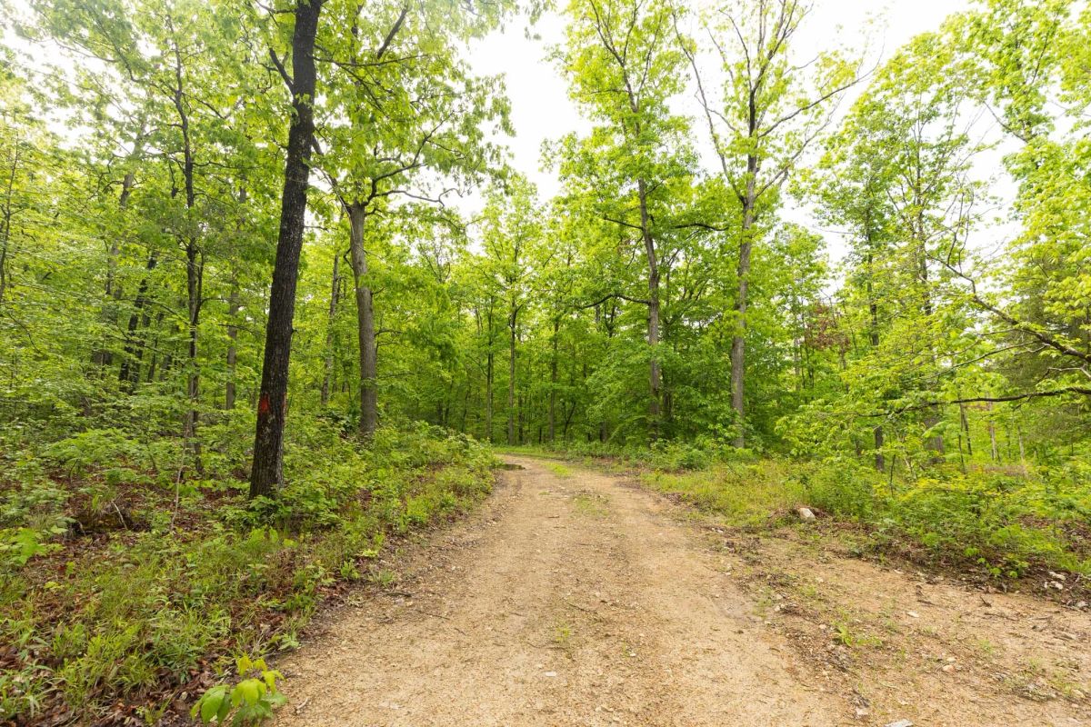 Decorative background for Stardust Estates Tract 32 image 10