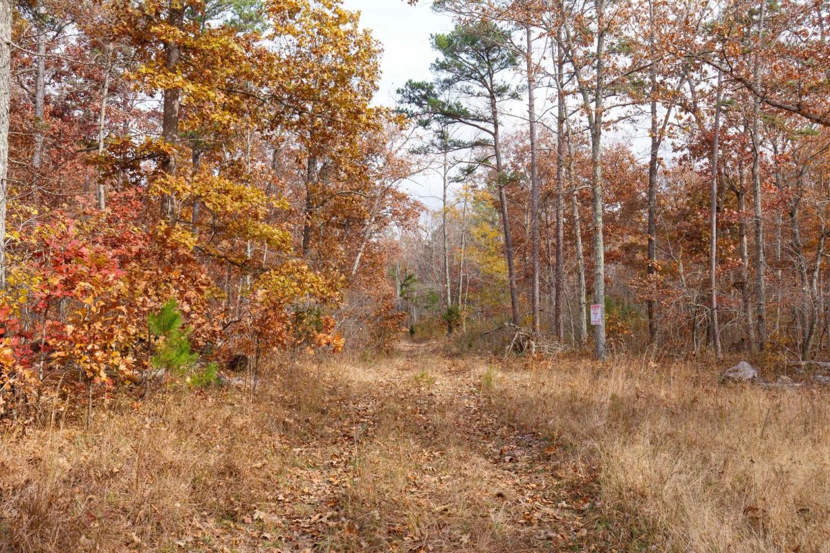 Hawkcrest Tract 48 - Main image