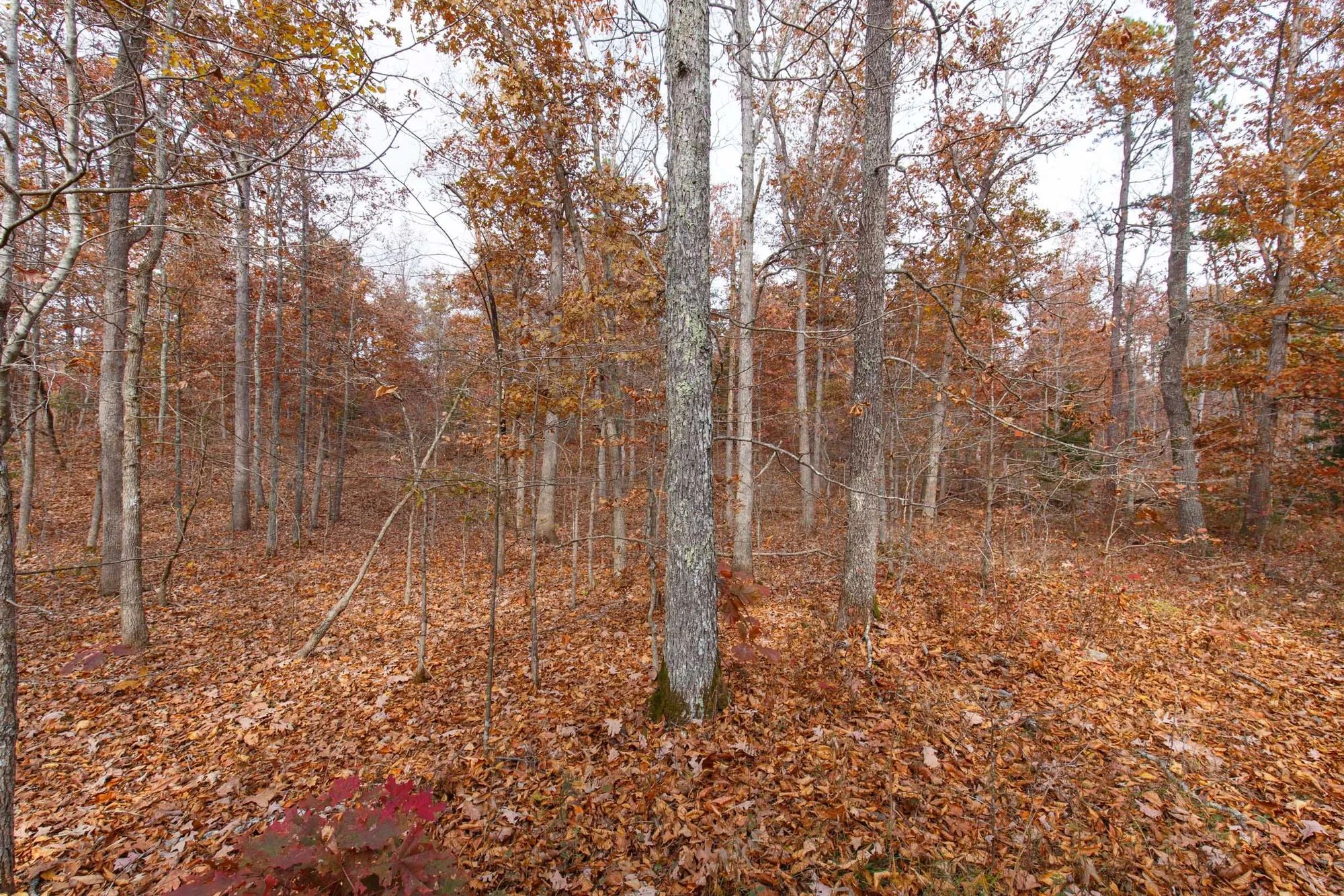 Hawkcrest Tract 48 in Reynolds County, MO