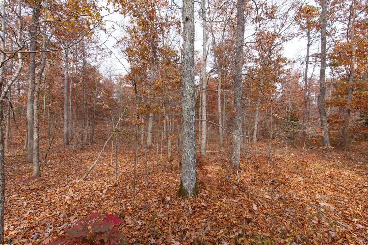 Hawkcrest Tract 48 - Image 2