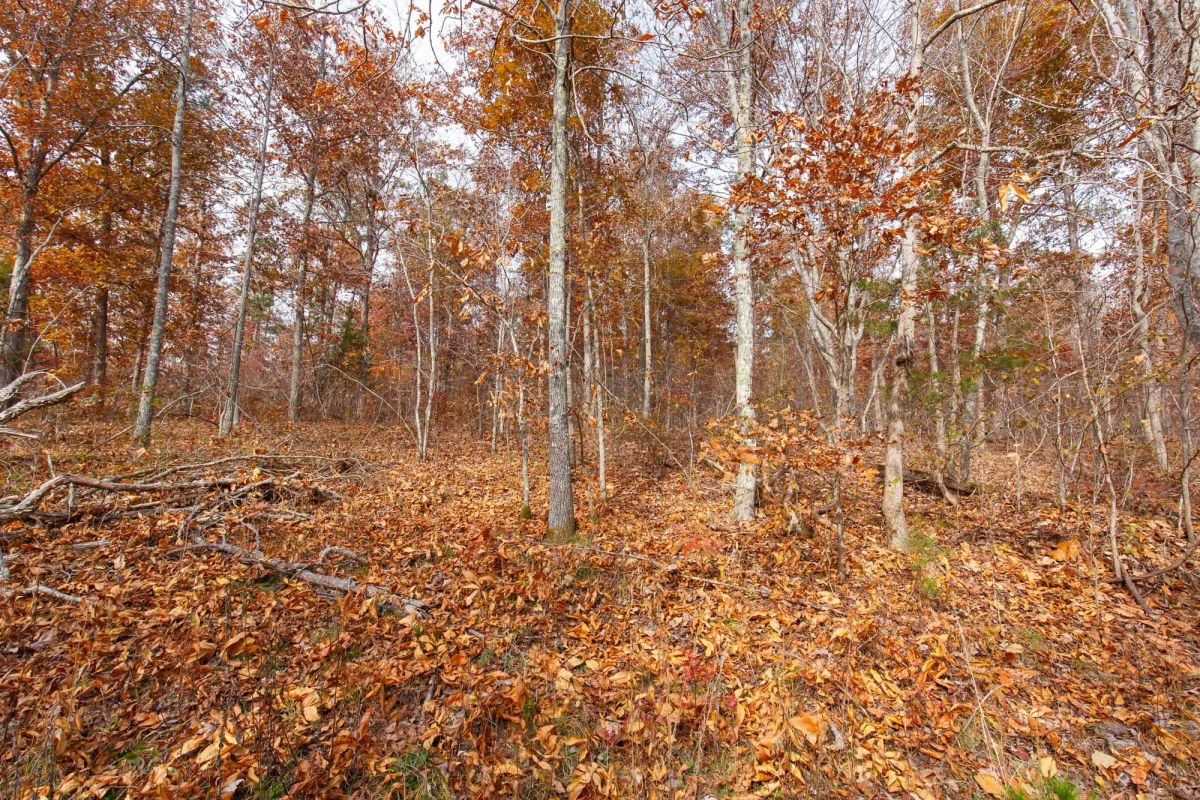 Hawkcrest Tract 48 - Image 3