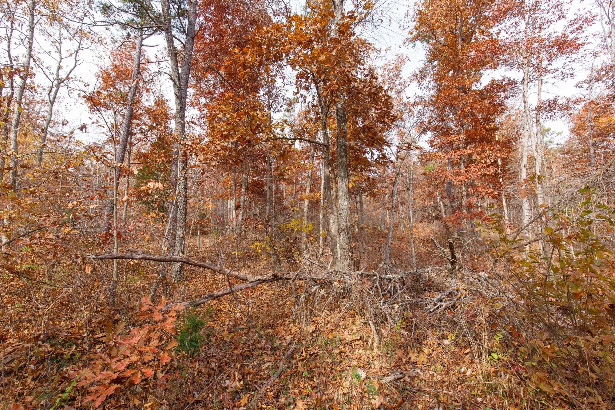 Hawkcrest Tract 48 in Reynolds County, MO