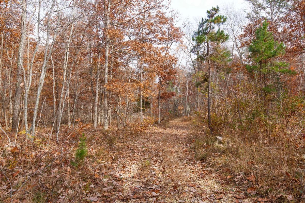 Decorative background for Hawkcrest Tract 48 image 5