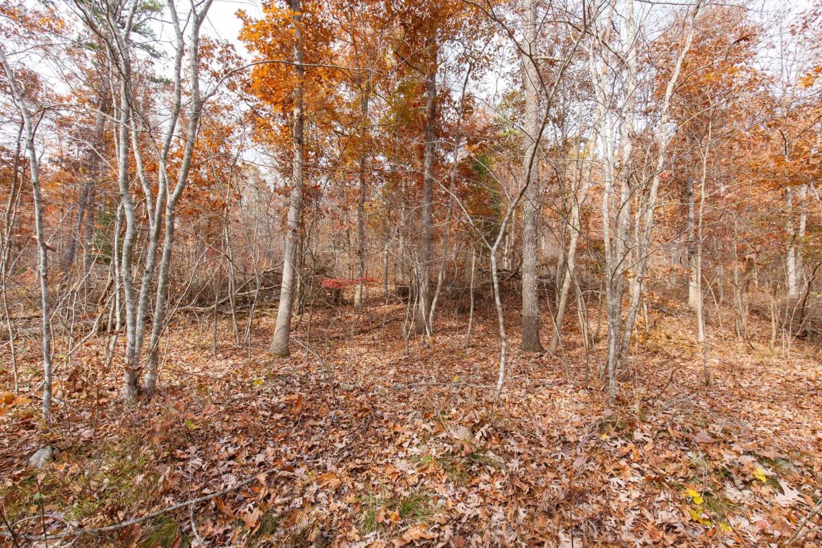 Decorative background for Hawkcrest Tract 48 image 7