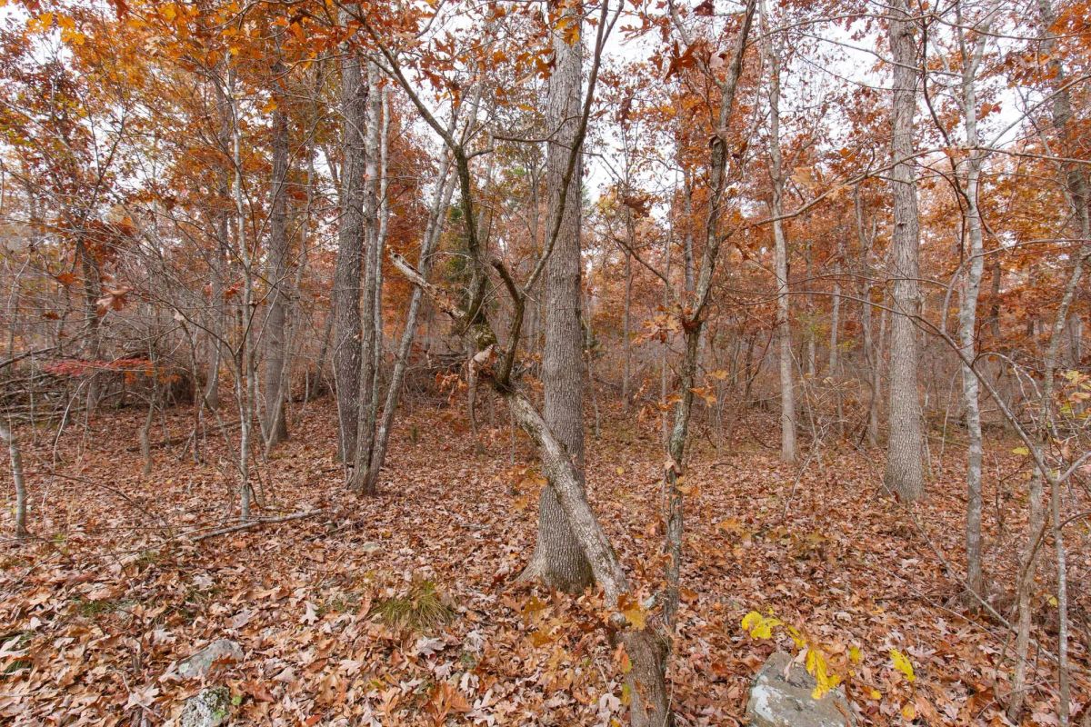 Decorative background for Hawkcrest Tract 48 image 8