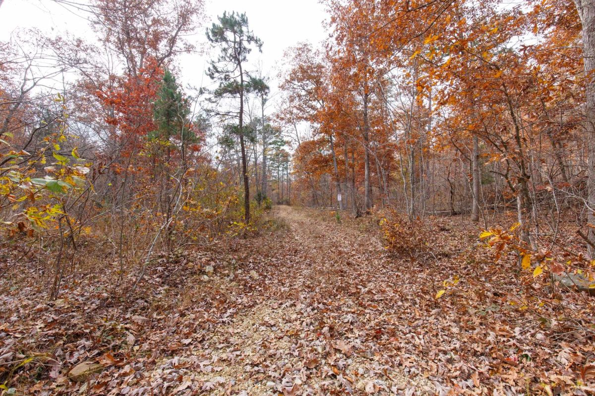 Decorative background for Hawkcrest Tract 48 image 9