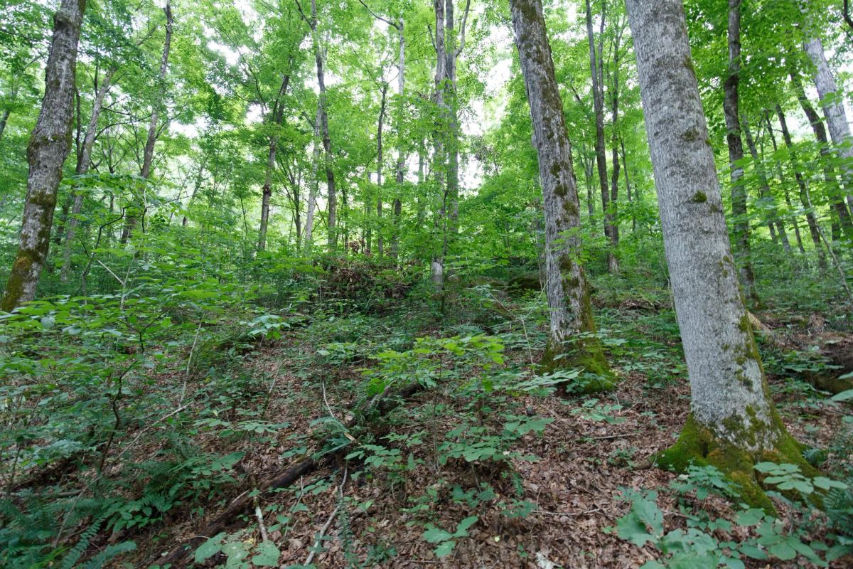 Rolling Hills Tract 12 - Main image