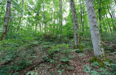 Rolling Hills Tract 12