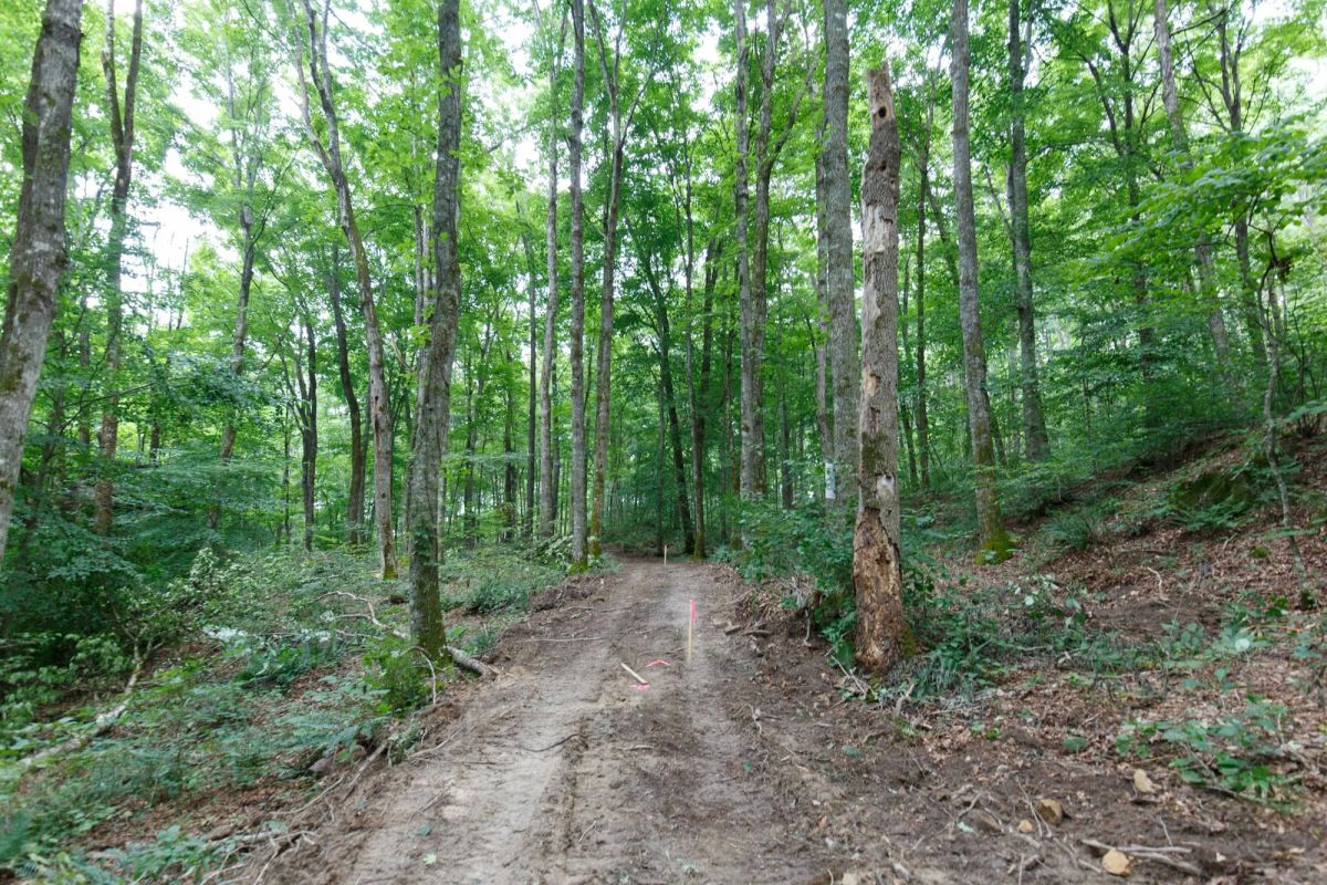 Rolling Hills Tract 12 - Image 2