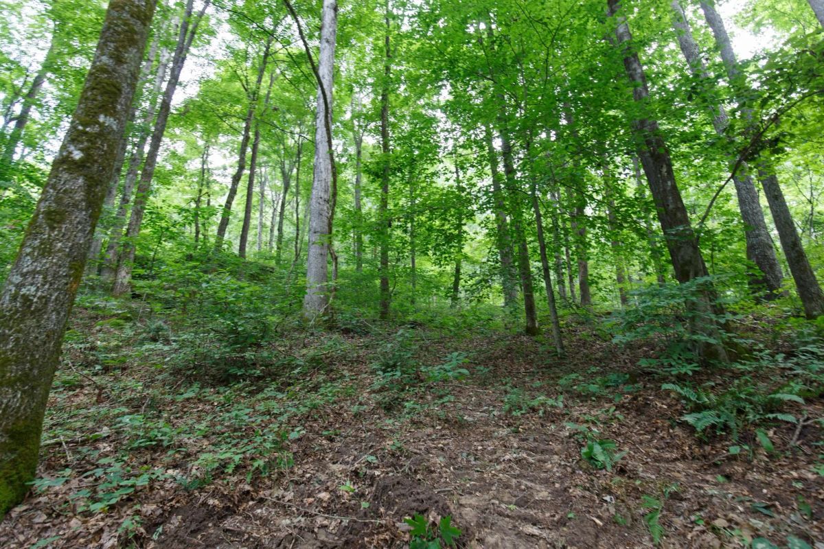 Rolling Hills Tract 12 - Image 3