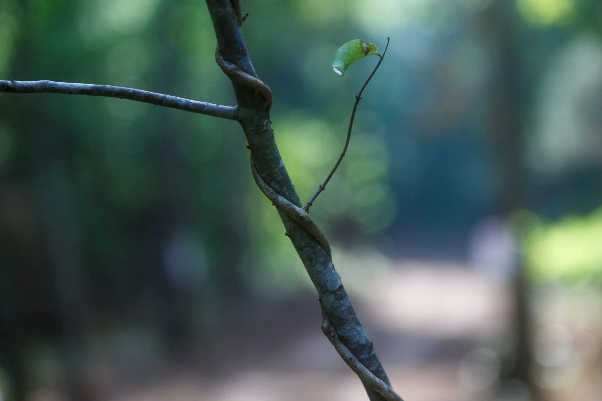 Rolling Hills Tract 12 - Image 4