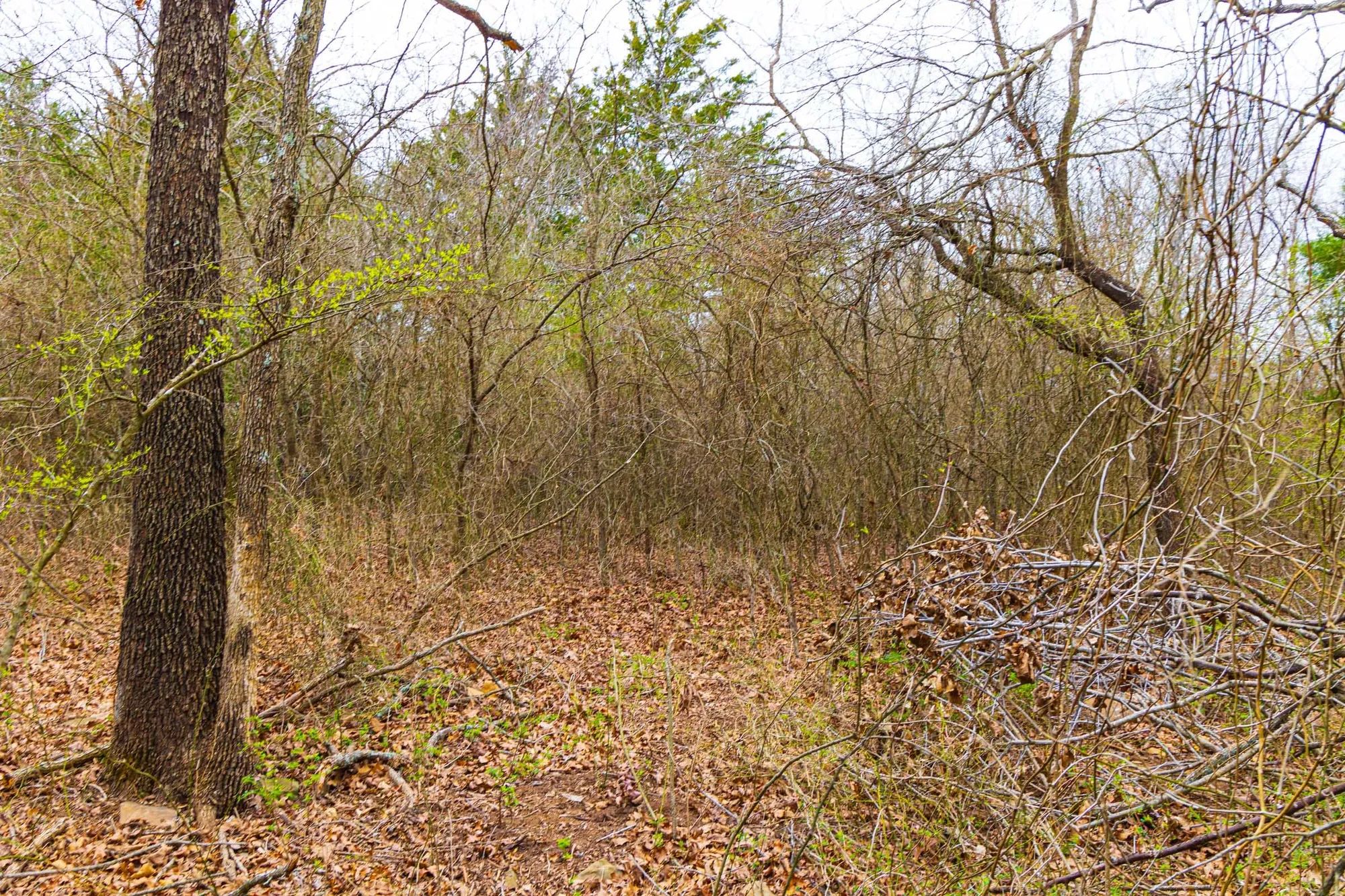 Reserves At Cattail Cove Phase I Tract 2 in Pittsburg County, OK
