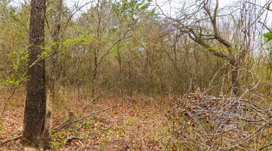 Reserves At Cattail Cove Phase I Tract 2 in Pittsburg County, OK