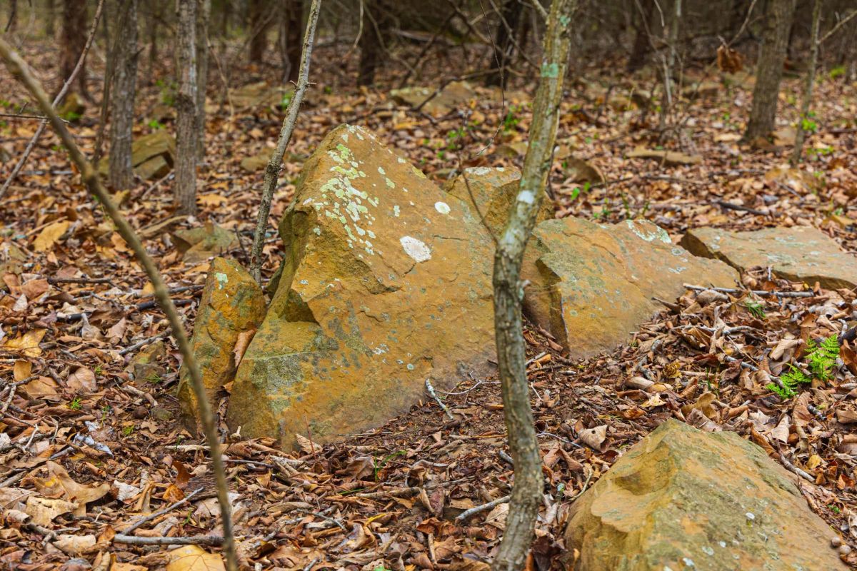 Reserves At Cattail Cove Phase I Tract 2 - Image 3