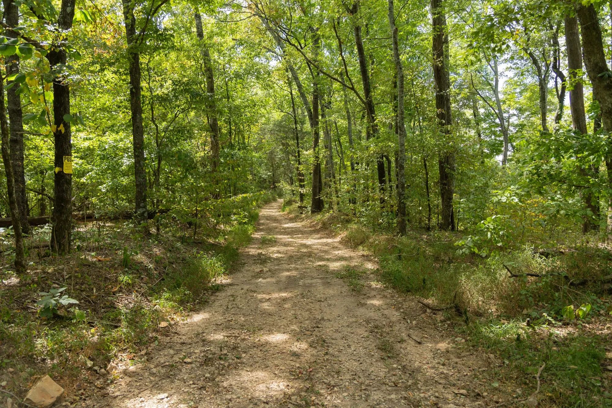 Big White Oak Tract 119 in Perry County, TN