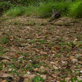 Big White Oak Tract 119 in Perry County, TN