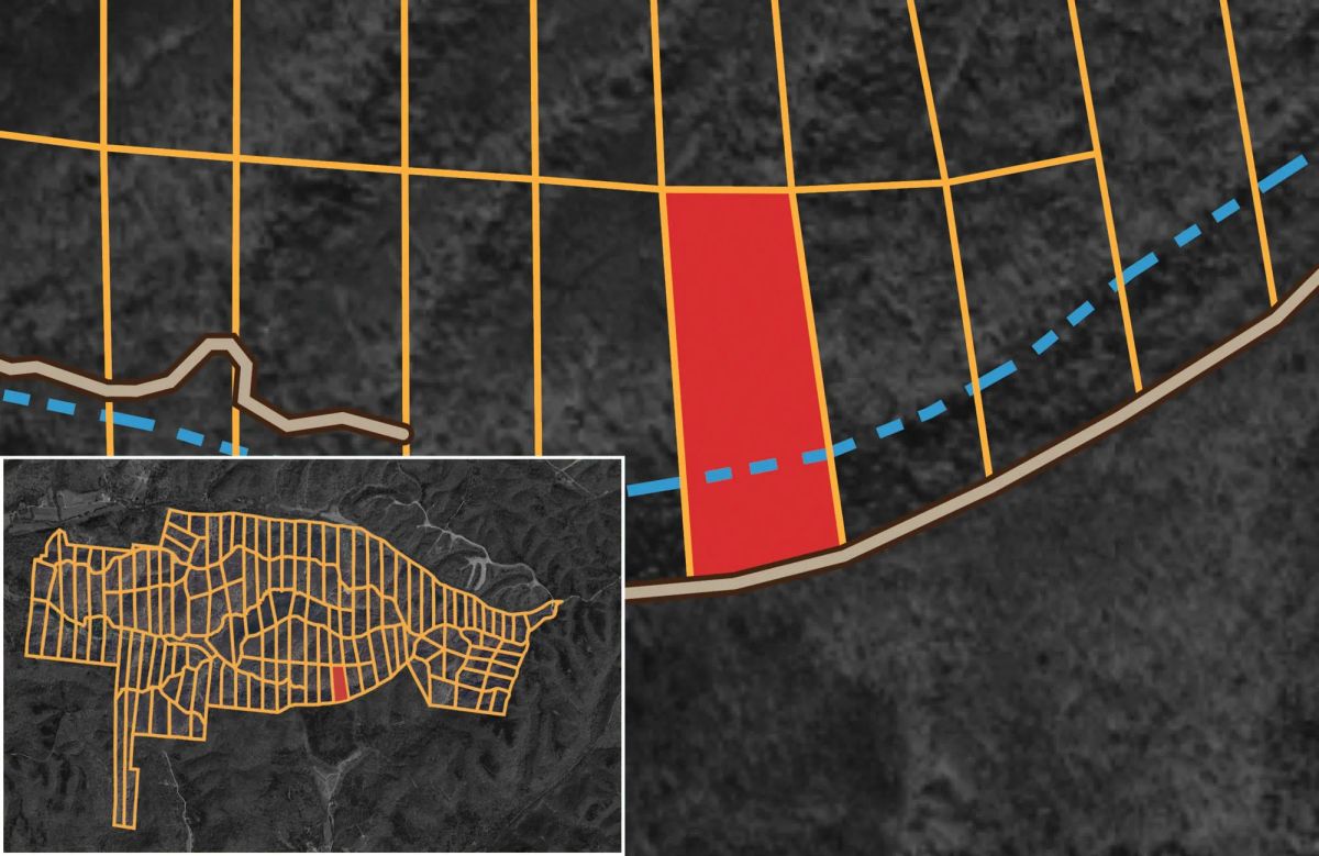 Decorative background for Big White Oak Tract 119 image 17