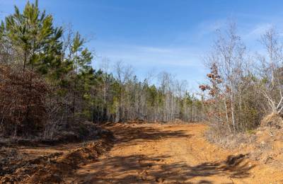 Baker Creek Tract 4
