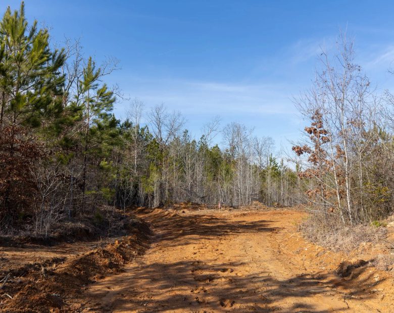 Baker Creek Tract 4 in Fayette County, AL