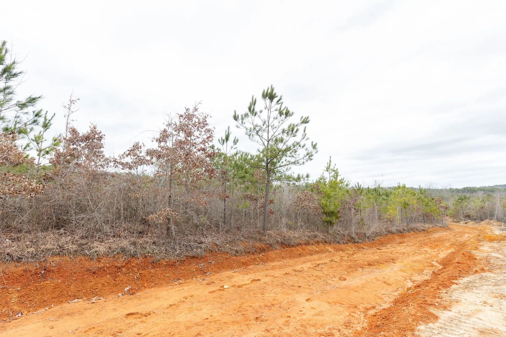Baker Creek Tract 4 in Fayette County, AL