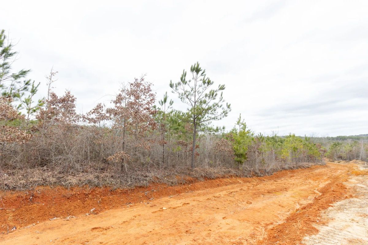 Baker Creek Tract 4 - Image 2