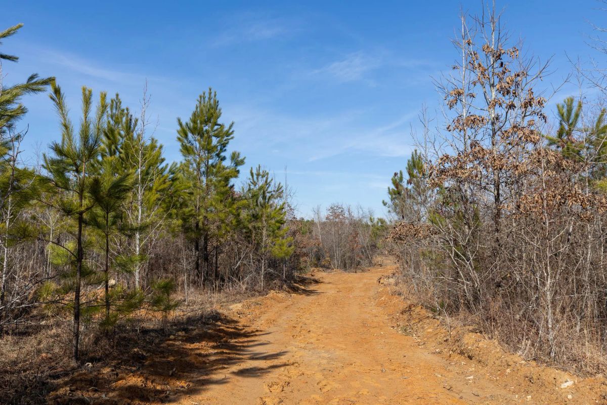 Baker Creek Tract 4 - Image 3