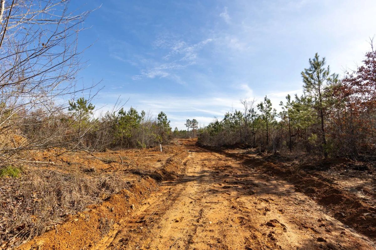 Baker Creek Tract 4 - Image 4