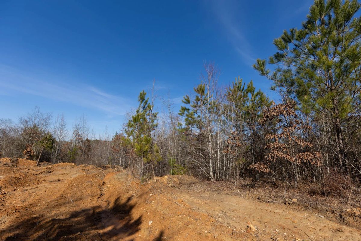 Decorative background for Baker Creek Tract 4 image 5