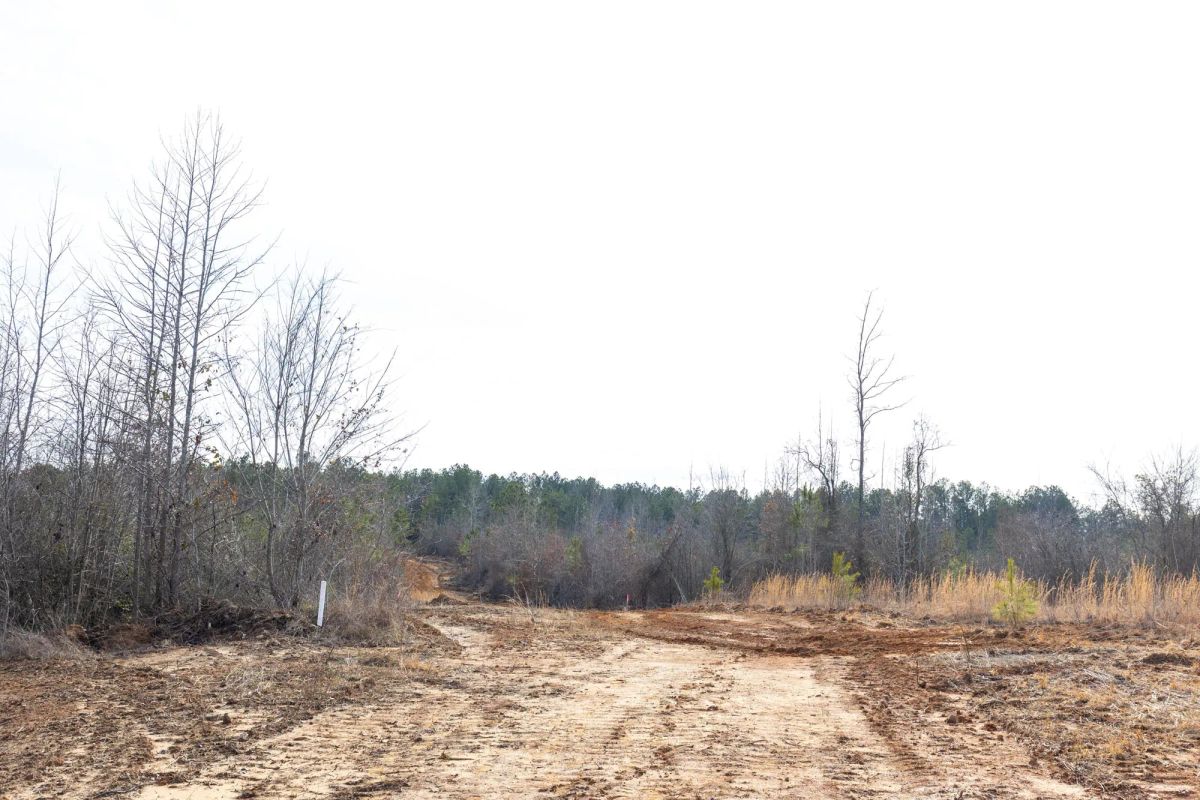 Decorative background for Baker Creek Tract 4 image 8