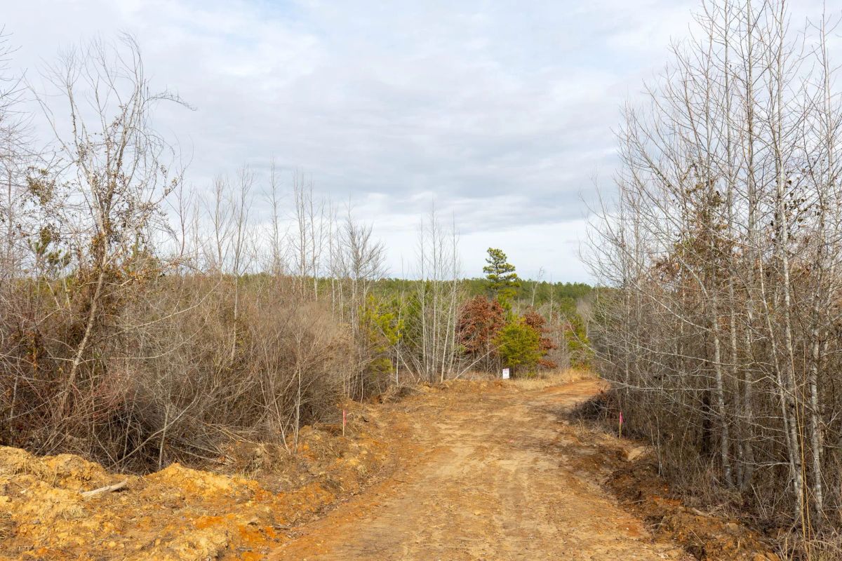 Decorative background for Baker Creek Tract 4 image 9