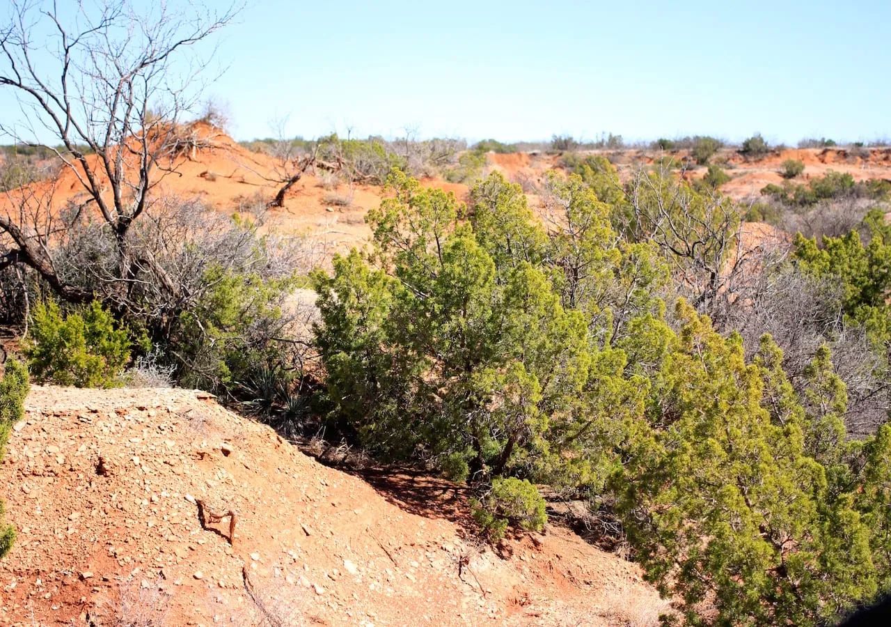 Red Rock Ranch Tract 5 in Knox County, TX
