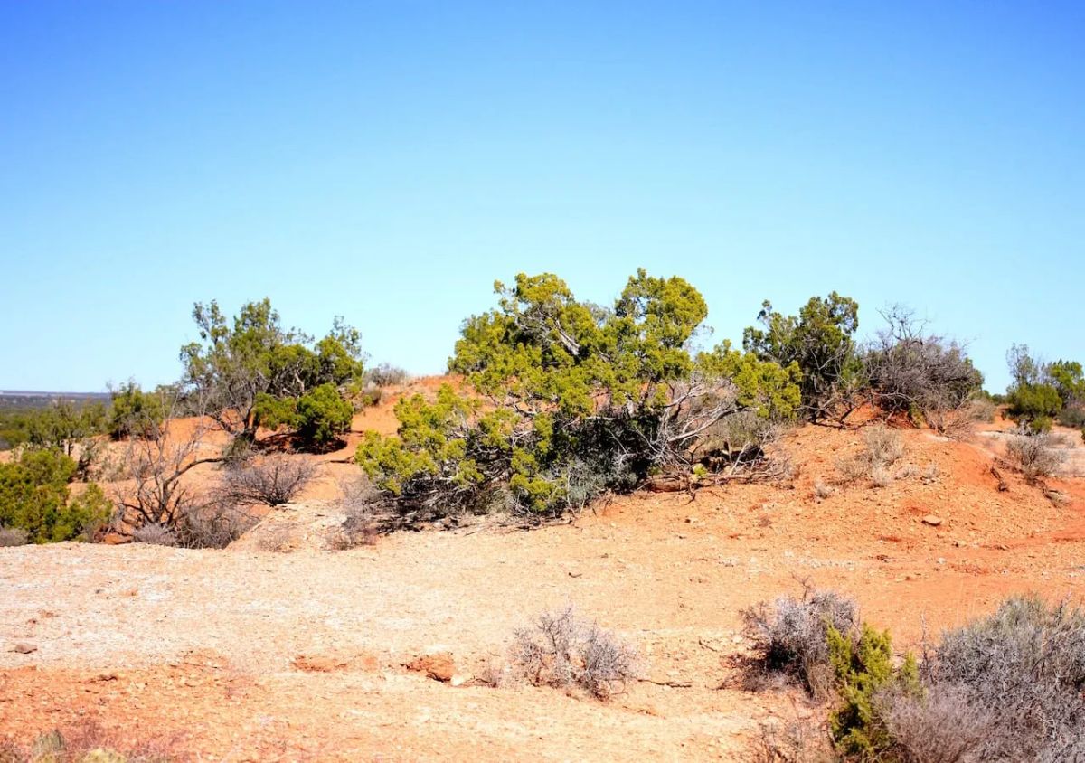 Decorative background for Red Rock Ranch Tract 5 image 5