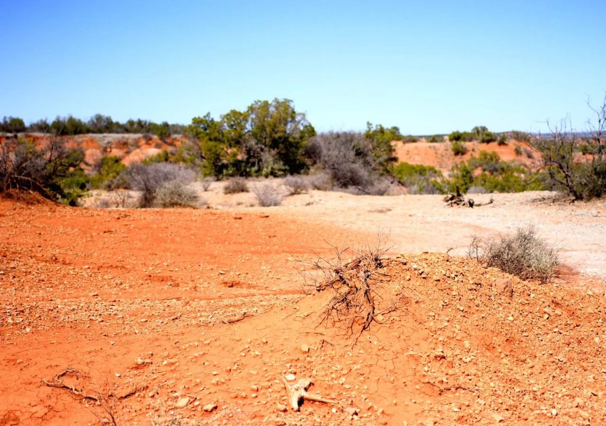Decorative background for Red Rock Ranch Tract 5 image 6