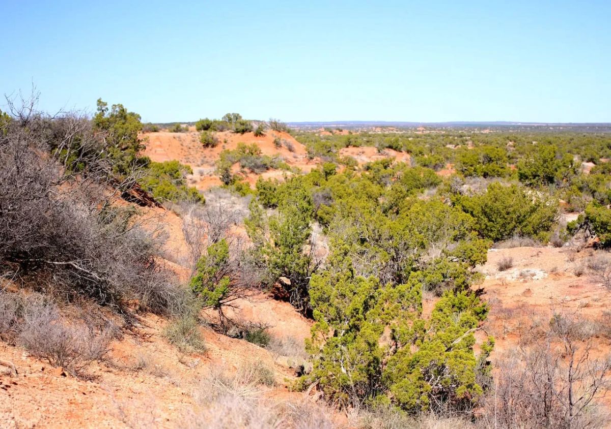 Decorative background for Red Rock Ranch Tract 5 image 7