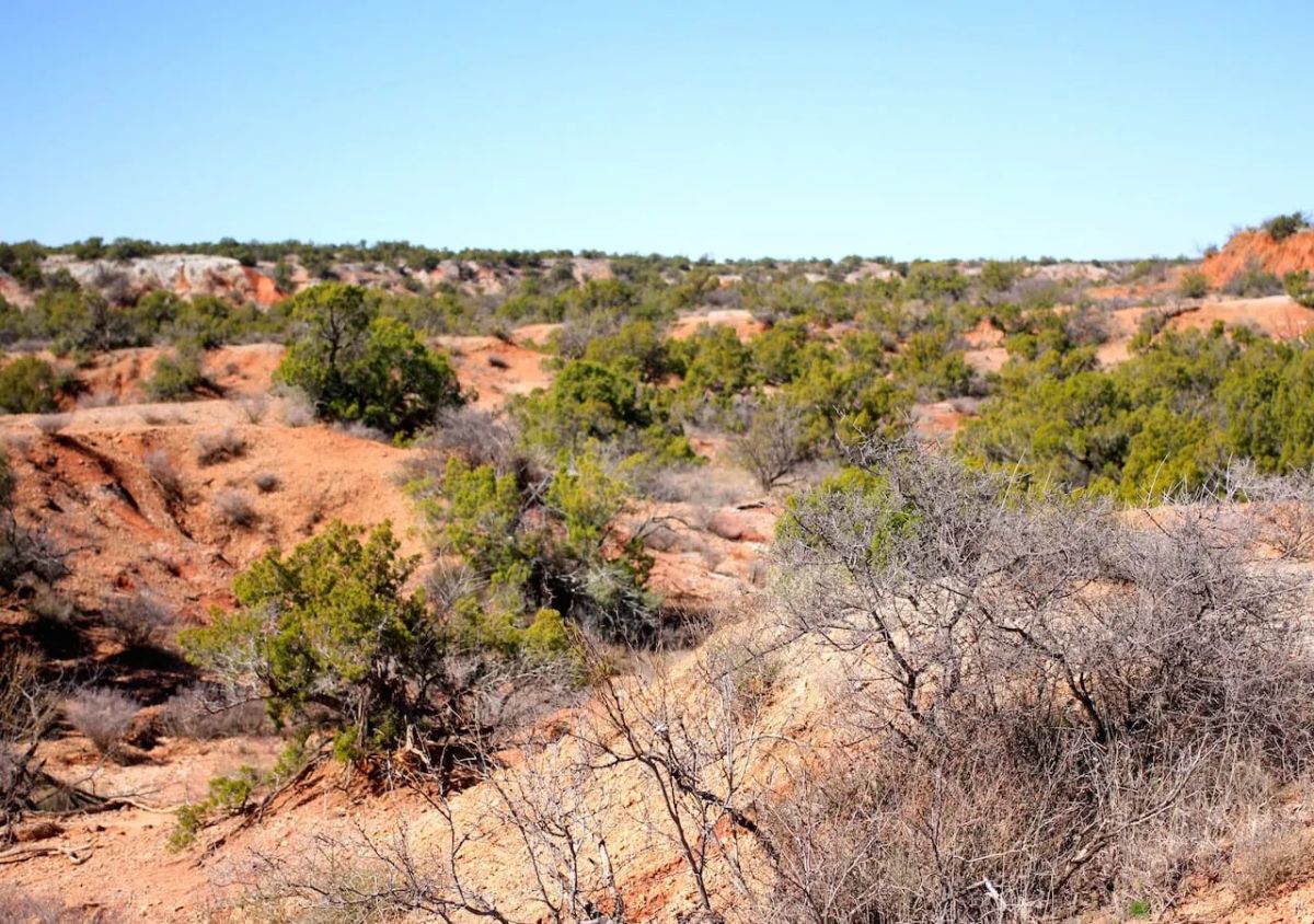 Decorative background for Red Rock Ranch Tract 5 image 8