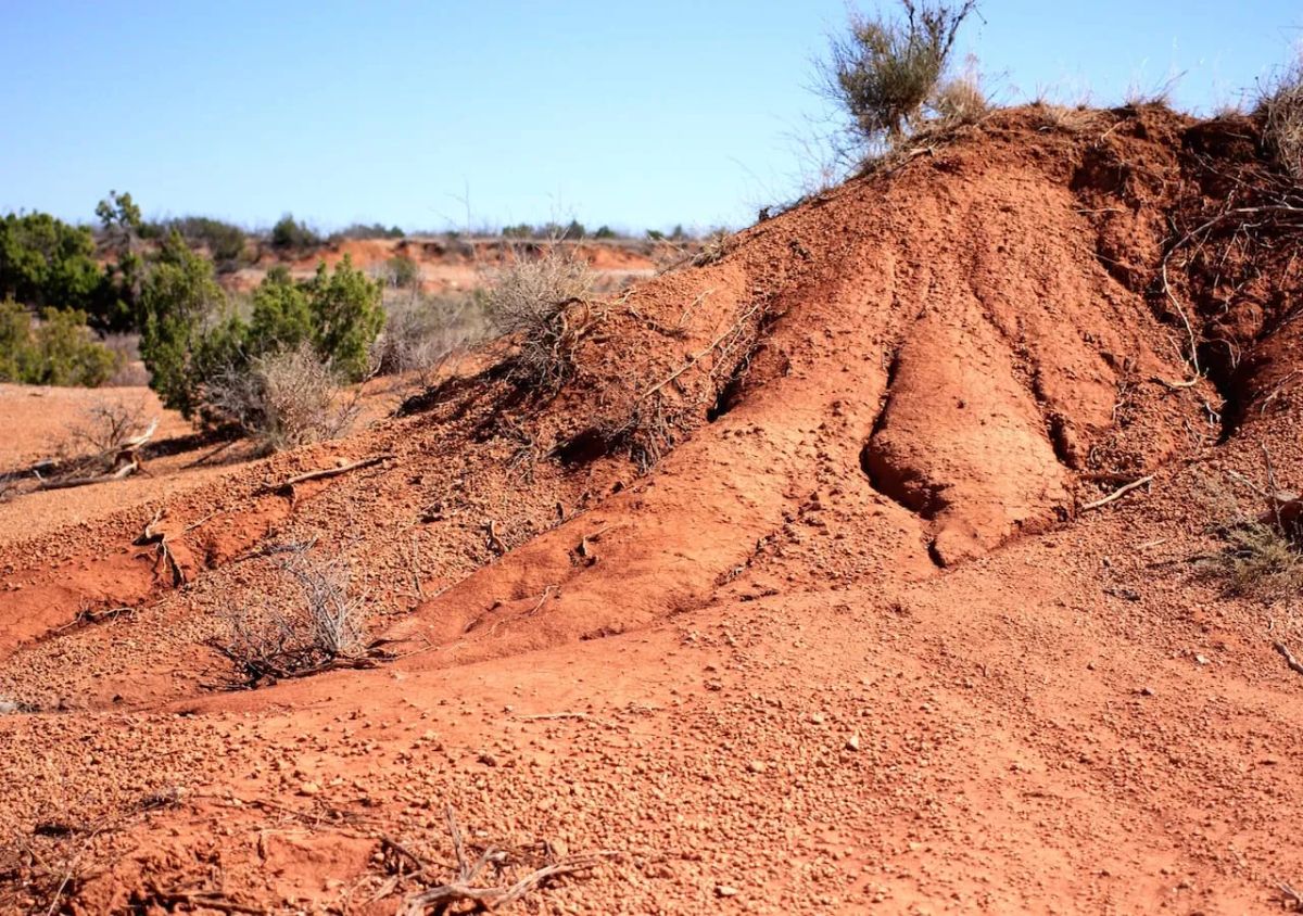 Decorative background for Red Rock Ranch Tract 5 image 10