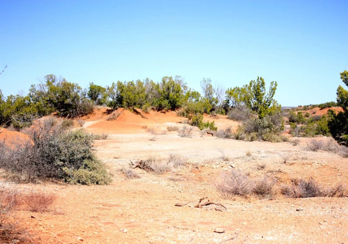 Decorative background for Red Rock Ranch Tract 5 image 11
