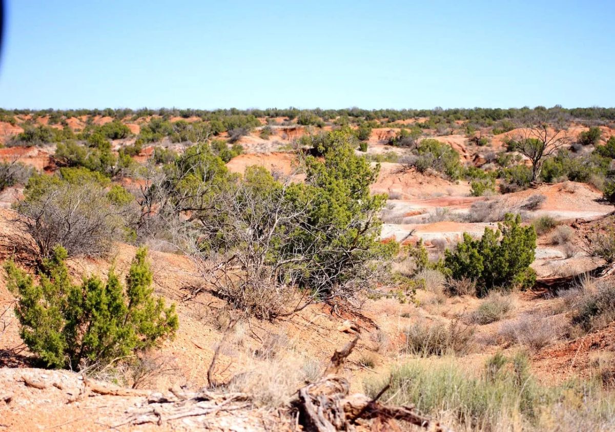 Decorative background for Red Rock Ranch Tract 5 image 12