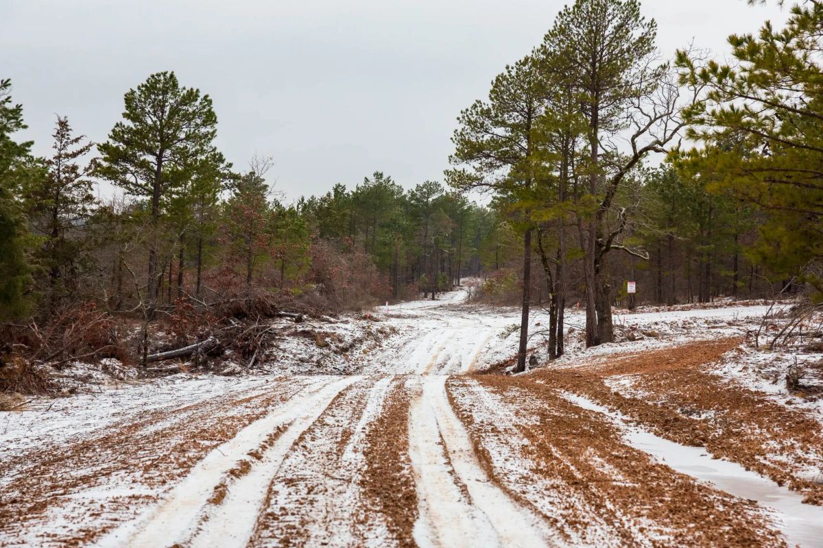 Stone Bridge Phase IV Tract 267 - Main image
